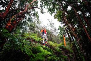 BIB: 
                            <button type="button" onclick="openModal(26201900)" class="btn btn-primary btn-sm float-right btn-popup" data-toggle="modal" data-target=".modal-high-quality">
                        <i class="fas fa-shopping-cart"></i> Add to Cart
                    </button>
                                            <button type="button" onclick="isThisMe(26201900, true)" class="btn btn-success btn-sm float-right btn-popup btn-isme hidden" data-toggle="tooltip" data-placement="bottom" title="นี่คือรูปของคุณใช่ไหม คลิกที่นี่เพื่อเอาเข้าอัลบั้ม">
                        <i class="fas fa-plus"></i> Add to album
                    </button>
                    <button type="button" onclick="isThisMe(26201900, false)" class="btn btn-warning btn-sm float-right btn-popup btn-isnotme hidden">
                        <i class="fas fa-ban"></i> Remove from album
                    </button>